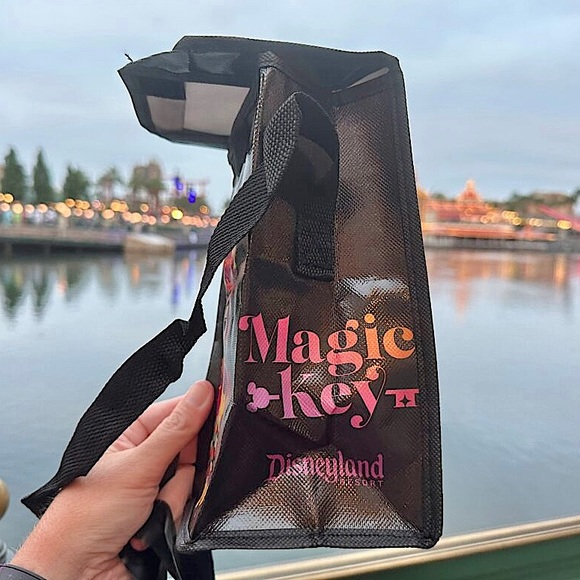 🎃 Magic Key 2023 Oogie Boogie Bash Treat Bag Tote Mickey Halloween - Picture 2 of 4
